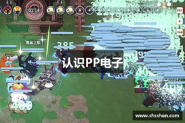 认识PP电子